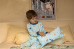 Load image into Gallery viewer, *RESTOCKED*(CASING) Lovey & Pillow - Ocean